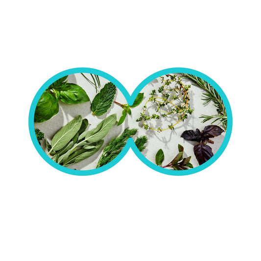 Elevate Your Practice with 100% Natural-Source Skincare: Why Spa Professionals Choose Moor Spa