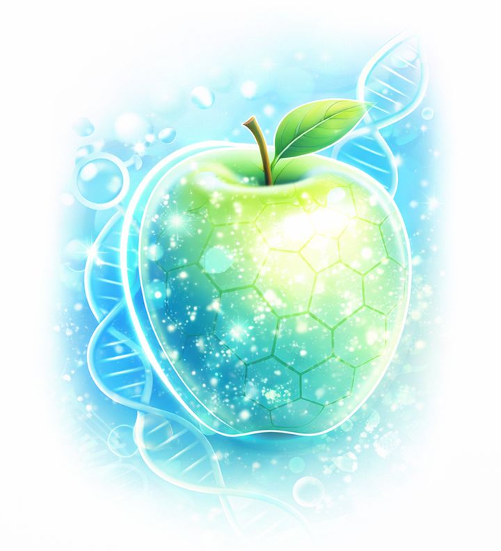 Swiss Apple Stem Cell Serum